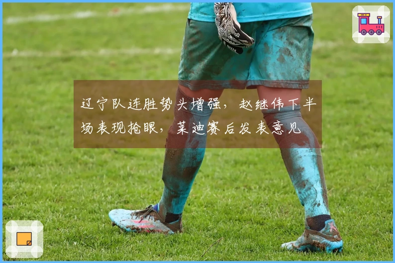 辽宁队连胜势头增强，赵继伟下半场表现抢眼，莱迪赛后发表意见