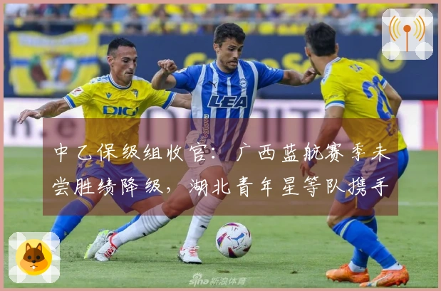 中乙保级组收官：广西蓝航赛季未尝胜绩降级，湖北青年星等队携手降级